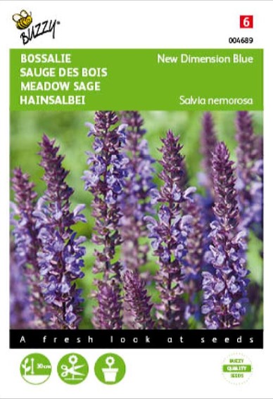 Hain-Salbei New Dimension Blue (Salvia nemorosa) 25 Samen